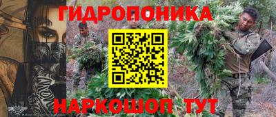 a pvp Кунгур