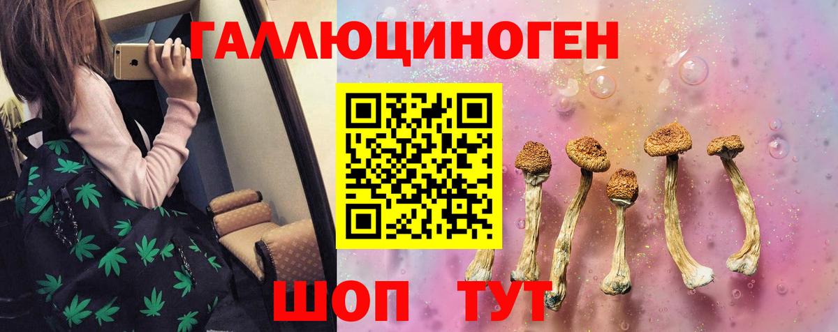 Псилоцибиновые грибы Psilocybine cubensis Бузулук