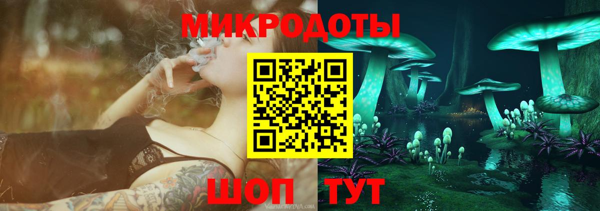 Псилоцибиновые грибы Psilocybe  Вход с VPN  Бузулук 